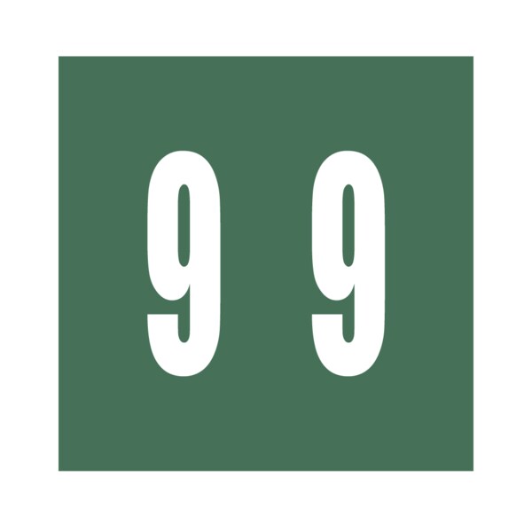 Ames - Filing Labels - Large - Number 9 1-7/8" x 1-7/8" Green